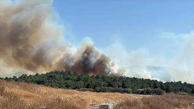 Urla Kekliktepe'de orman yangını çıktı