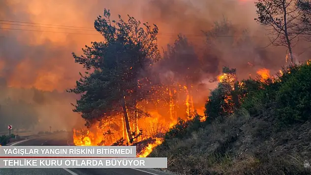 Uyarı geldi: Yağışlar yangın riskini bitirmedi, tehlike kuru otlarda büyüyor