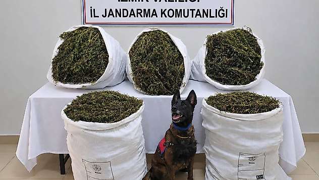 Uyuşturucu operasyonu: 54 kilo 800 gram e*rar ele geçirildi