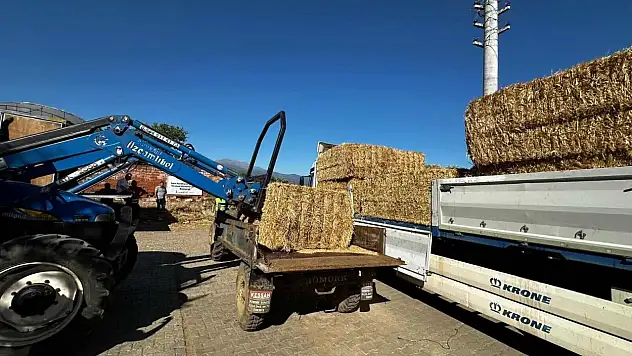 Yangın mağduru köylere 40 ton yem desteği