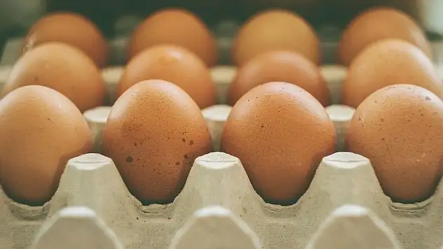 Yumurtada şaşırtan düşüş: Fiyatlar market raflarına da yansıyacak