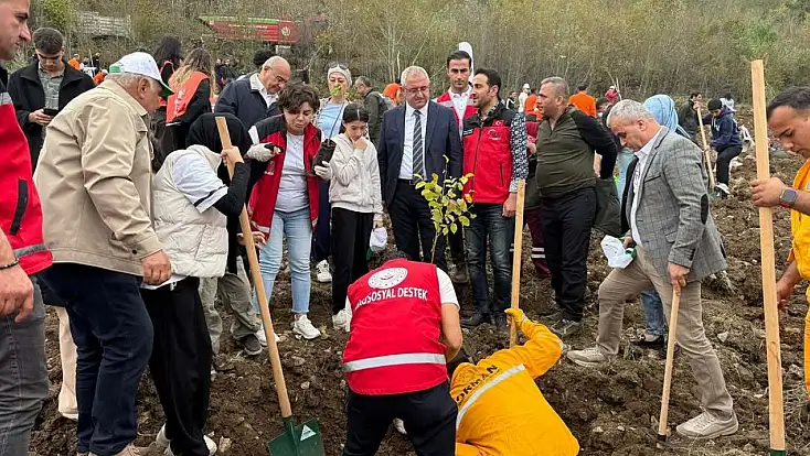 AKAF, milli ağaçlandırma gününde üç ilde fidan dikti