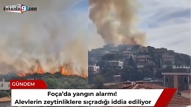 Foça’da yangın alarmı! Alevlerin zeytinliklere sıçradığı iddia ediliyor