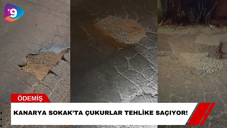 Kanarya Sokak’ta Çukurlar Tehlike Saçıyor!