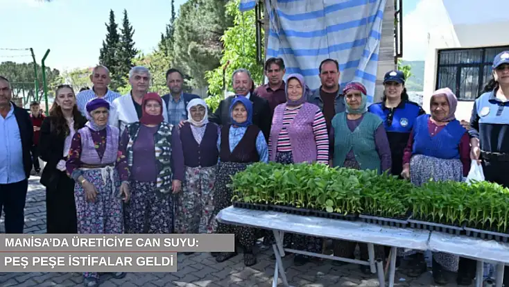 Manisa’da üreticiye can suyu: 34 bin fide toprakla buluştu