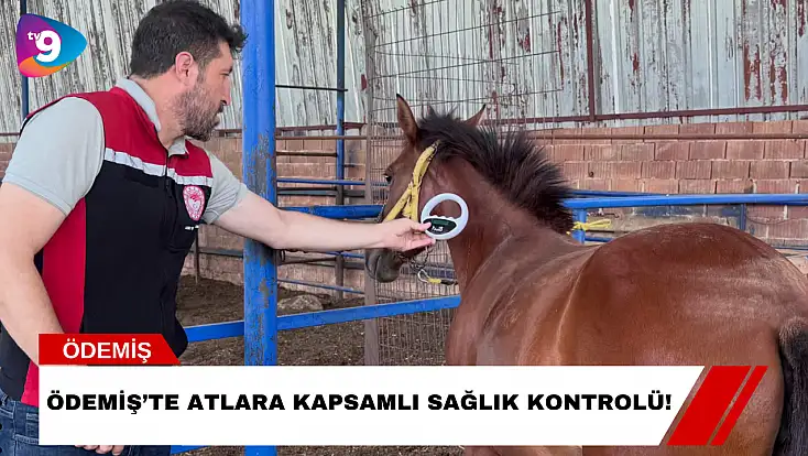 Ödemiş’te Atlara Kapsamlı Sağlık Kontrolü!