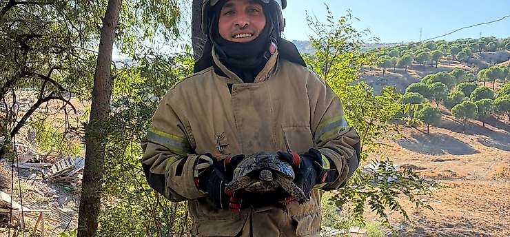 Bergama'da itfaiyeden hem yangına hem de kaplumbağaya müdahale