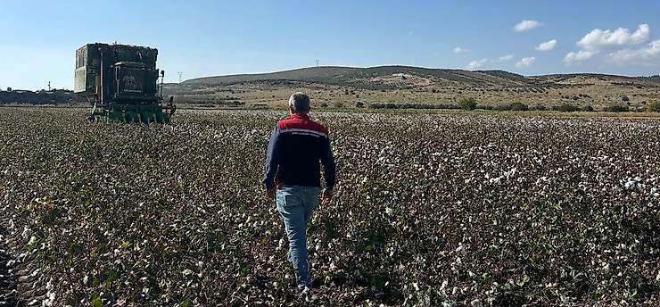 Beyaz altın hasadı başladı