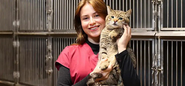 Buca'da 2 yılda 599 sokak hayvanı sahiplendirildi