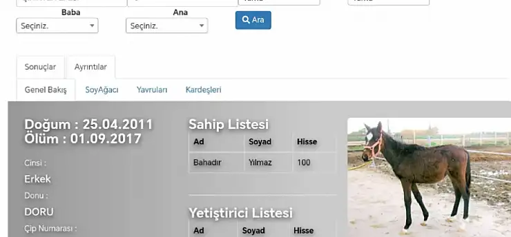 Buca soruşturmasında dikkat çeken detay: 13 atın 7'si ölü çıktı