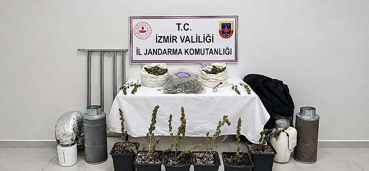 Evinde yasa dışı kenevir yetiştiren şüpheli gözaltına alındı