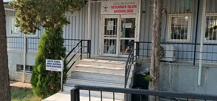 İzmir'de Belediye veteriner hizmetleri ve başvuru yolları