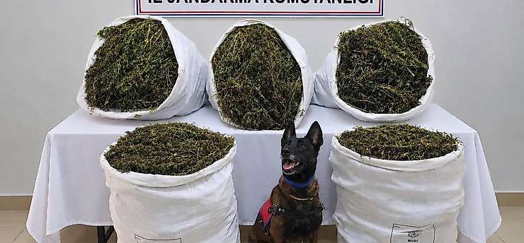 Uyuşturucu operasyonu: 54 kilo 800 gram e*rar ele geçirildi