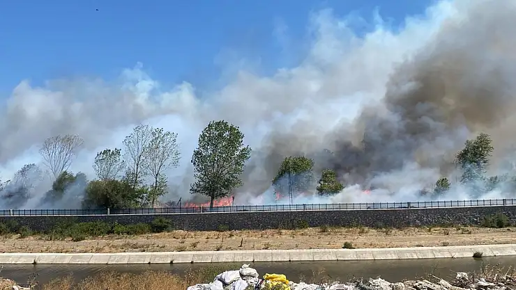Ayvacık'ta çöplük alanda çıkan yangın ormana sıçradı