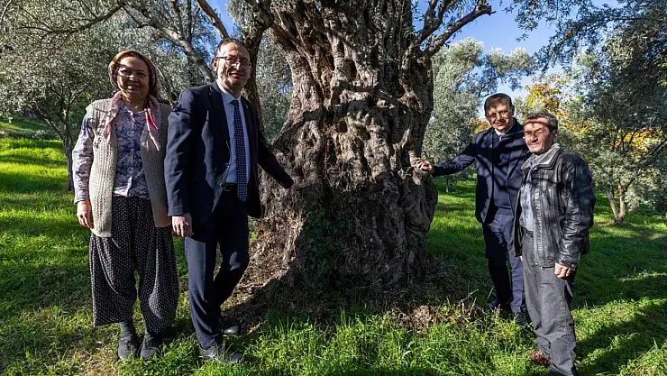 Başkan Tugay Beydağ'da kestane üreticileriyle bir araya geldi