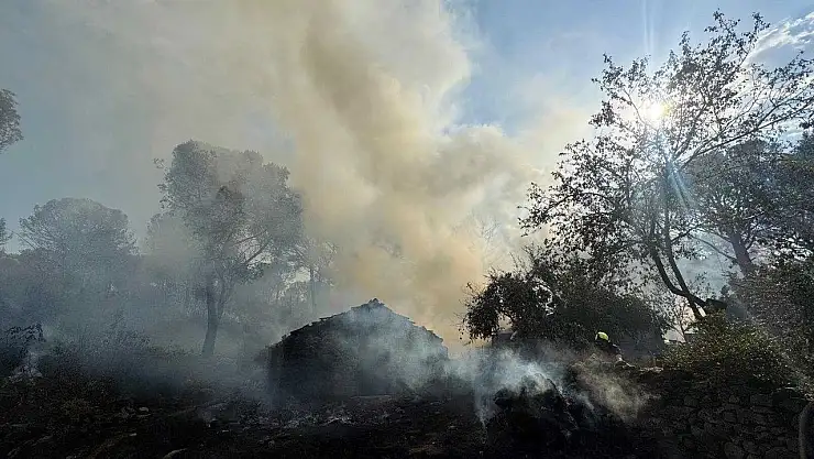 Bergama'da orman yangını