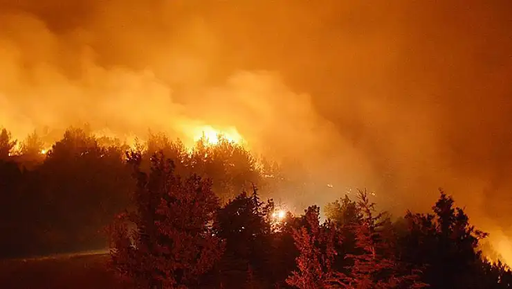 Bergama'daki Orman Yangını Kontrol Altına Alındı