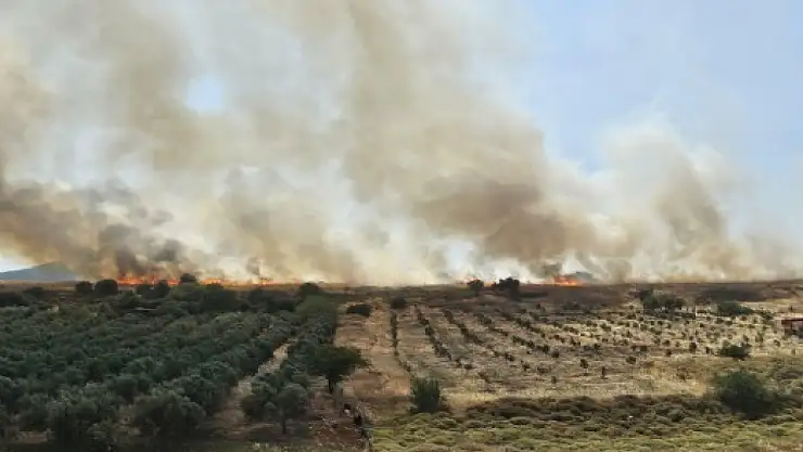 Buca'da İZBAN hattı civarında yangın paniğe neden oldu
