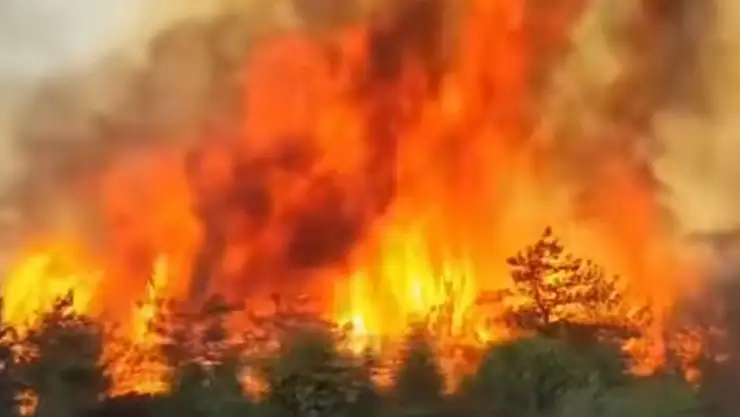 Buca'da orman yangını büyüyor