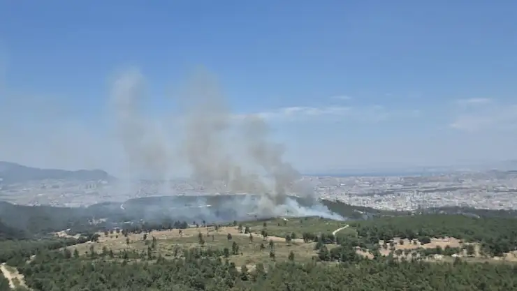 Buca'da orman yangını