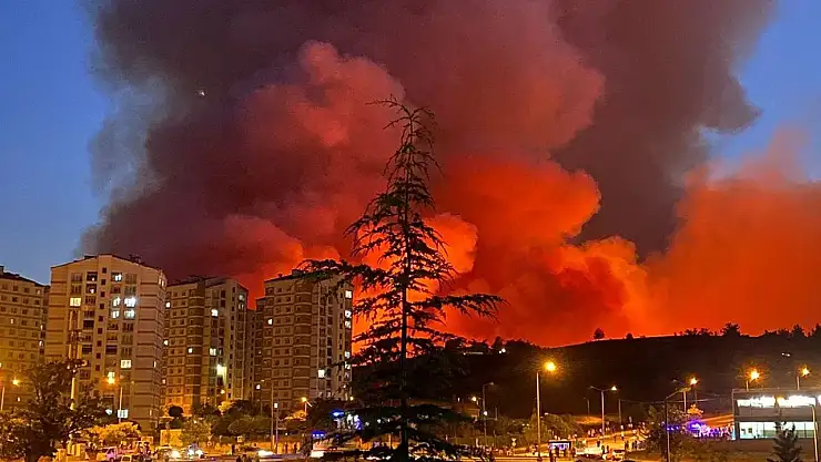 Bursa'da havai fişek atarak yangın çıkaranlara ders gibi ceza
