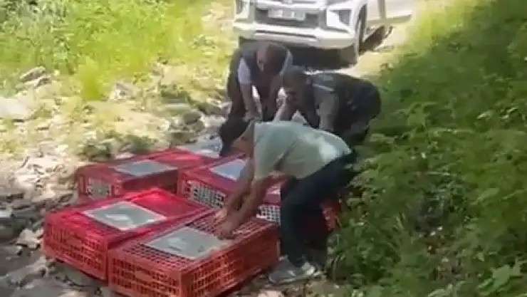 Bursa'da Kene ile Mücadele Timleri Doğaya Salındı