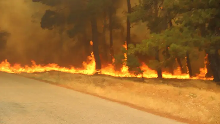 Çanakkale Bayramiç'te 3 köy tahliye edildi