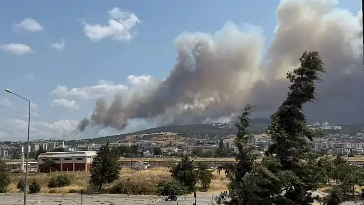 Çanakkale Dardanos'ta orman yangını başladı