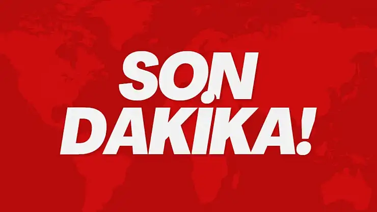 Çanakkale'de orman yangını
