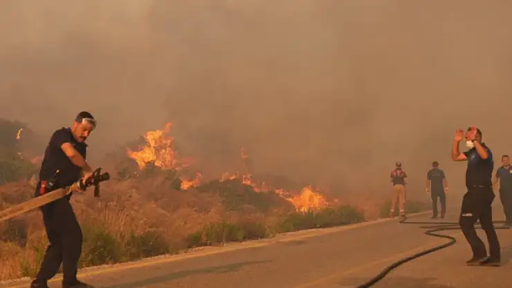 Çeşme'de havadan karadan yangına müdahale