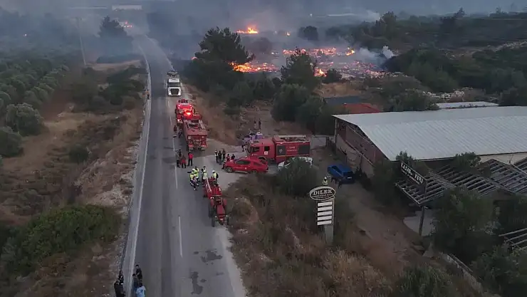 Çeşme otoyolu'nda araç yangını ormana sıçradı
