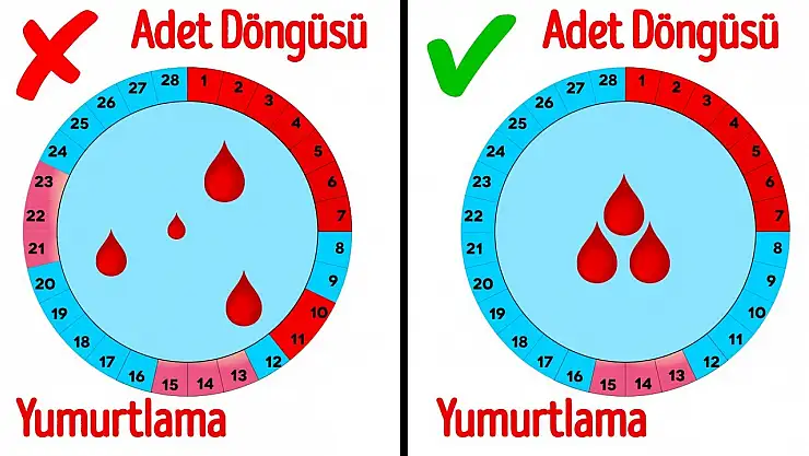 Covid-19 aşısı adet döngüsünü uzatıyor mu?