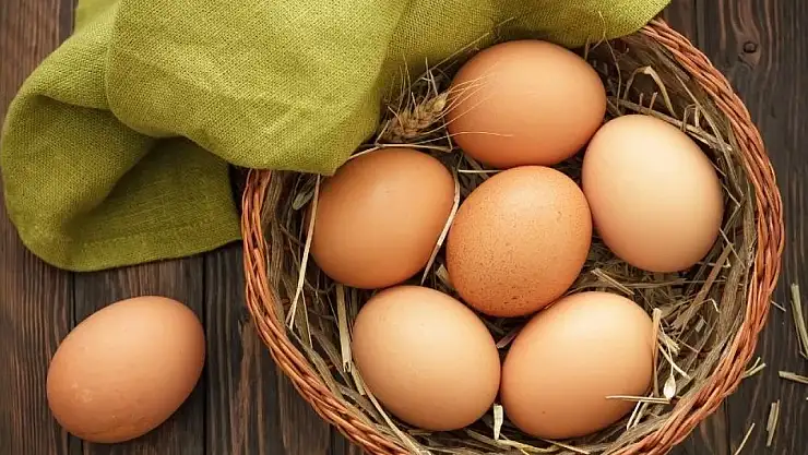 DFİF kesintisi kalktı, yumurta ihracatçısı rahat nefes aldı