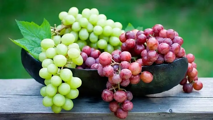 Diyabet dostu üzümün yolculuğu başladı: Ege'den Dünya Sofralarına