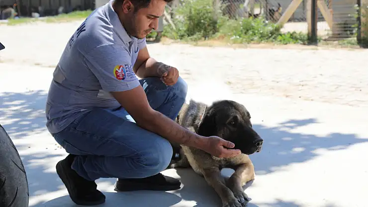 Efes Selçuk'tan duygusal çağrı: 'Satın Alma, Sahiplen!'