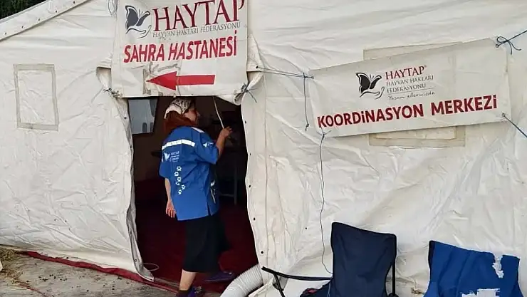 HAYTAP, Ödemiş'te Yangından Etkilenen Hayvanlar İçin Seferber Oldu