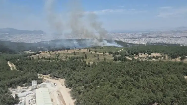 İzmir Buca Kaynaklar'da orman yangını