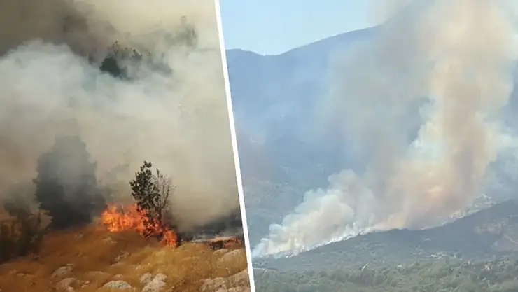 İzmir'de iki ayrı noktada yangın alarmı
