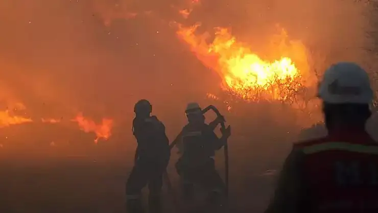 İzmir'den Ege yangın bölgesine ekip sevk edildi: Hava ve kara müdahalesi sürüyor