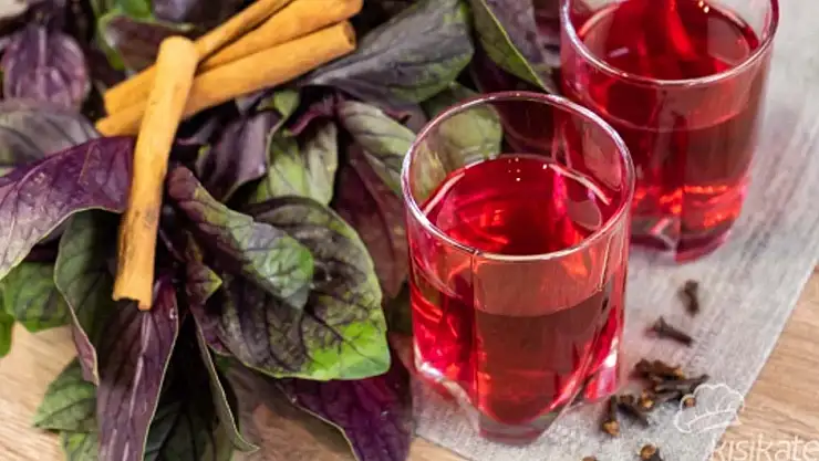 İzmir'in Şifalı İçeceği Reyhan: Sağlık ve Lezzetin Doğal Buluşması