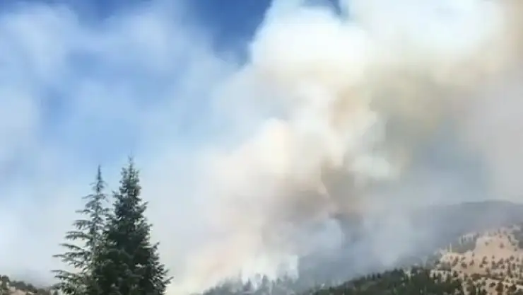 Kahramanmaraş'ta orman yangını