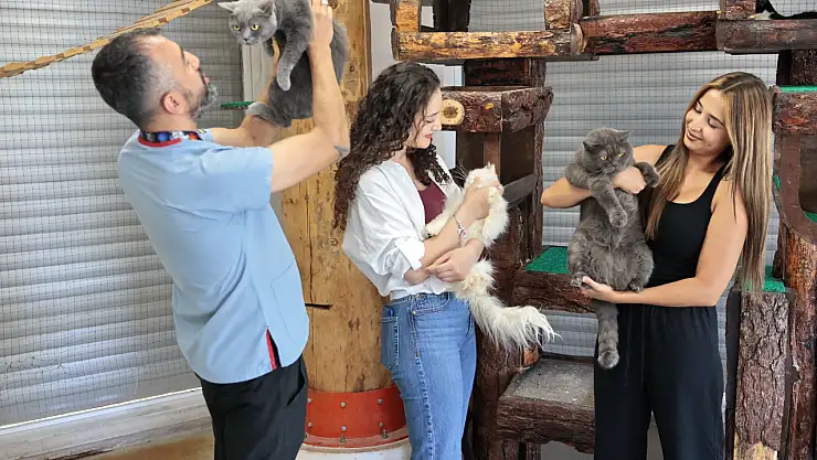 Konak'ın patili dostları ömürlük yuvalarını bekliyor