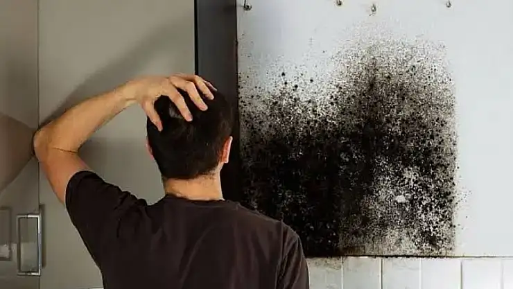 Küçük Menderes Havzası'nda rutubet ve küf tehlikesi: Uzmanlardan sağlık uyarısı