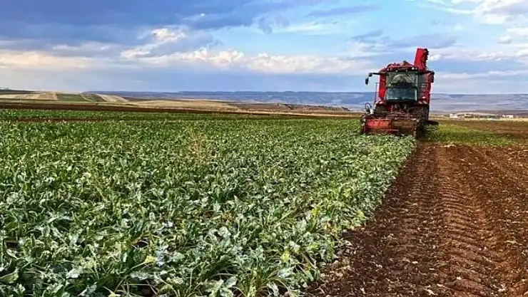 Kullanılmayan Tarım Arazileri Kiraya Verilecek