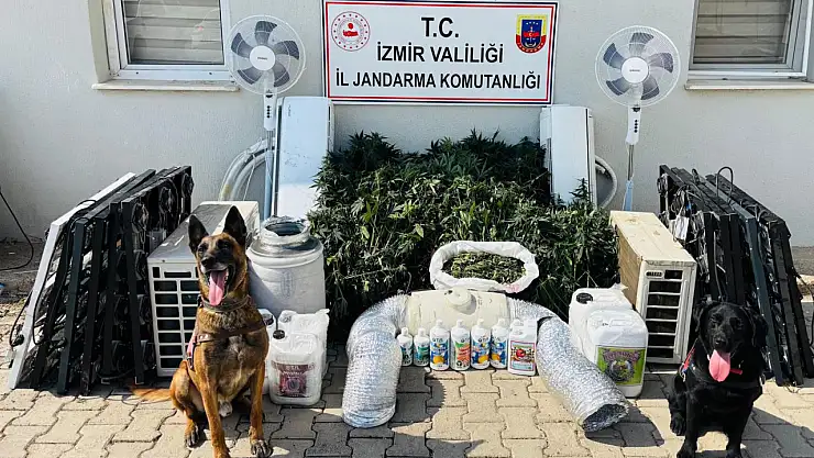 Menderes'te uyuşturucu operasyonu: 1 gözaltı