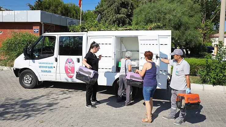 Narlıdere Belediyesi'nden minik dostlar için seferberlik