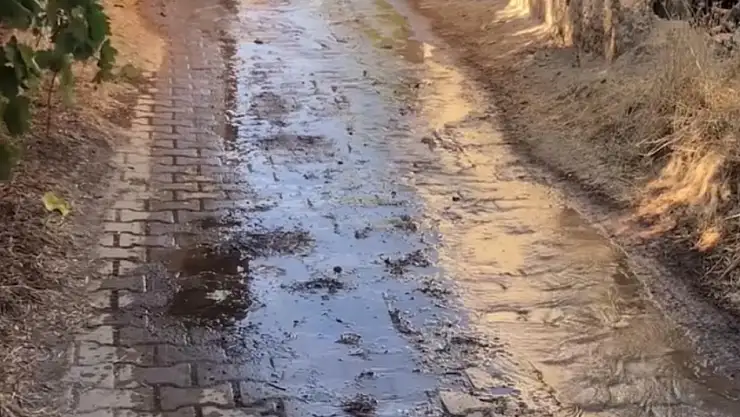 Ödemiş Çaylı'da su borusu dört gündür boşa akıyor