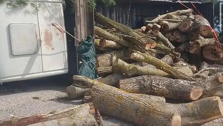Ödemiş Günlüce'de odun yüklü kamyon şarampole devrildi: Şans eseri yaralanan olmadı