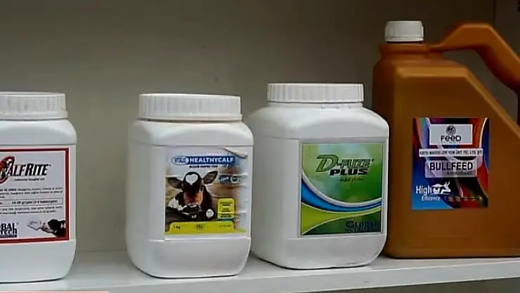 Ödemiş İdeal fuarın gözdesi oldu