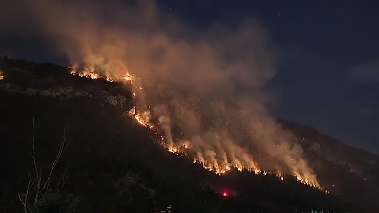 Orman yangınında 10 saat geride kaldı